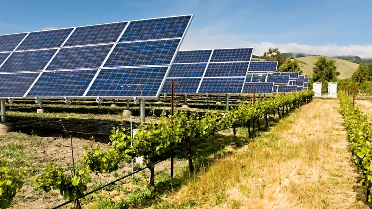 La Combinación de Energía Solar y Agricultura de Invernadero